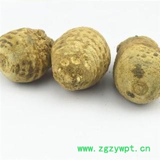 泽泻 统 产地 四川省 库存 1000公斤可售图3