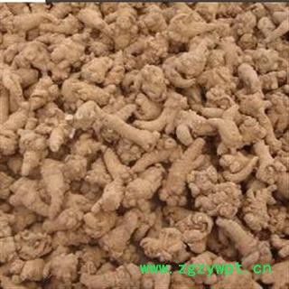 120头 三七 统 产地 云南省文山壮族图3