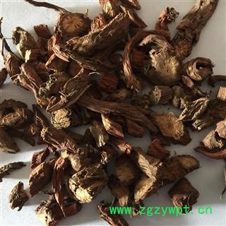 丹参中统段0.4 主流规格 价格实惠 河南产图2