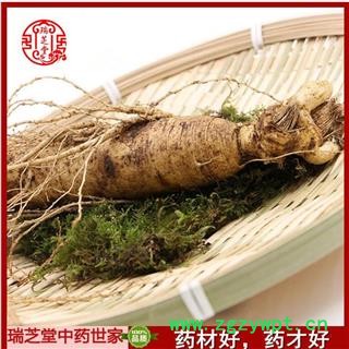 鲜人参 人参统货 药典正品 中药材 瑞芝堂产地直销100克一支图2