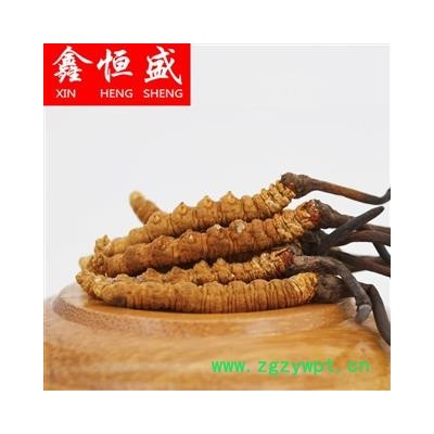 冬虫夏草 3000条 西藏那曲 色泽饱满度俱佳 无竹签无断草 掌柜意见：食用送礼销售之佳选