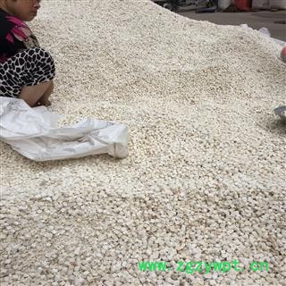 亳州花田错药业   茯苓 统 产地  安徽安庆图2