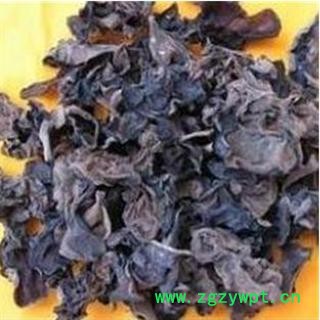 石花 乳花 地衣统 产地 河南省濮阳市市辖区图3