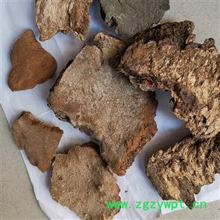 瑞森药材行斑褐孔菌 斑褐灵芝 层卧孔菌 长白山真菌图2