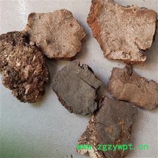 瑞森药材行斑褐孔菌 斑褐灵芝 层卧孔菌 长白山真菌图3