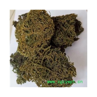 瑞森药材行新货红海粉 海粉丝 海兔子屎 海挂面实物拍照 海粉