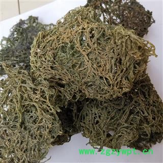 瑞森药材行新货红海粉 海粉丝 海兔子屎 海挂面实物拍照 海粉图2