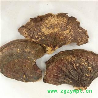 诺源药材行中药材东北野生灵芝图2