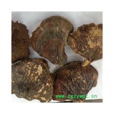 诺源药材行中药材东北野生灵芝