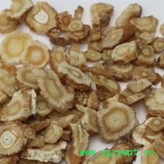 北沙参 统 产地 河北省  中药材北沙参  无硫北沙参统片安国市场批发零售大全图3