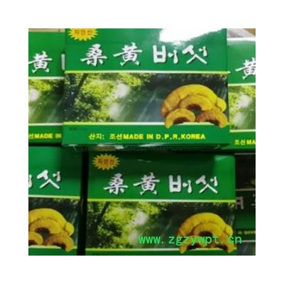 安祁名药桑黄 礼盒包装 500克/盒