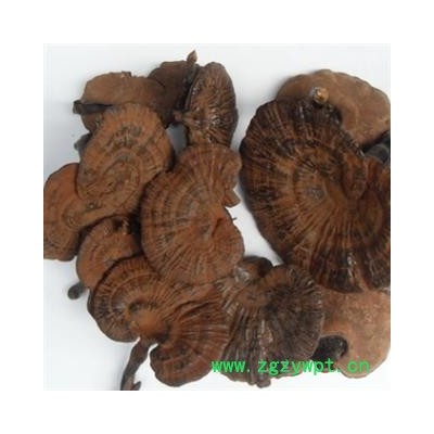 安祁名药灵芝 带孢子粉灵芝