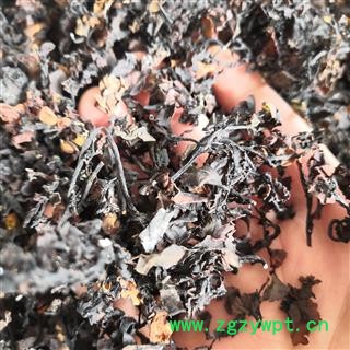安祁名药中药材海藻 海萝  海带花图2