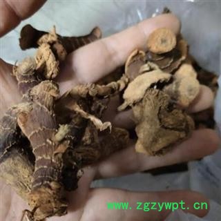 中药材高良姜 良姜 风姜、小良姜、膏凉姜 产地广东 安国中药材市场批发零售大全图2