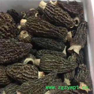 安祁名药中药材羊肚菌图2