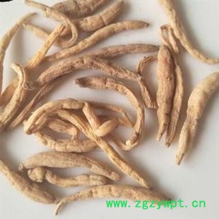 中药材太子参别名孩儿参、童参、双批七、四叶参、米参 产地贵州 品种齐全安国市场批发零售大全图2