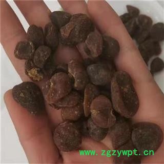 中药材土贝母  土贝母无硫货 产地河北  土贝母正品图2