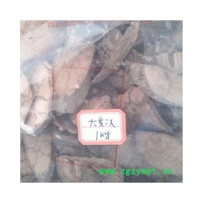 大发汗 统 产地 四川省阿坝藏族羌族自治州阿坝县