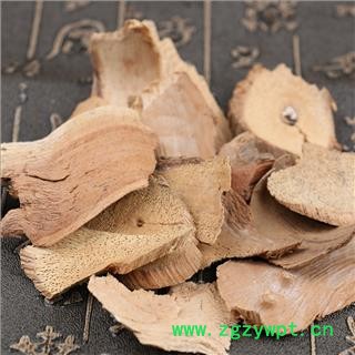 猕猴桃根 藤梨根 洋桃根 统 产地 广西壮族自治区百色市市辖区图3