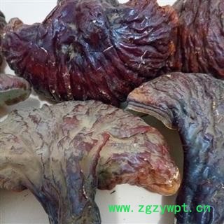 灵芝 长白山野生灵芝，产地直供，假一赔十，支持货到付款 产地 吉林省白山市抚松县图2