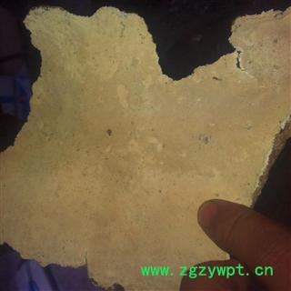 问心堂药业供应优质白耙齿菌图2