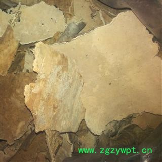 问心堂药业供应优质白耙齿菌图4