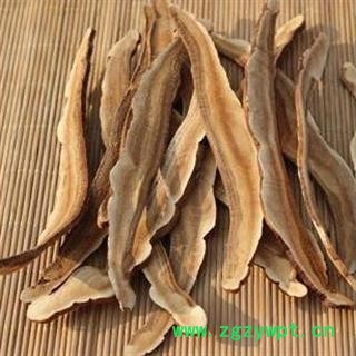 木灵芝 统 产地 山东省图2