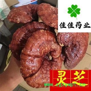 灵芝 选装灵芝个 实物图 品质保证 批发各类中药材 冷背货 矿石等 产地 吉林省图2