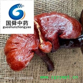 灵芝&【国舜堂】实物拍照产地货源中药材批发供应【灵芝】图2