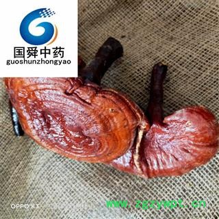 灵芝&【国舜堂】实物拍照产地货源中药材批发供应【灵芝】图3