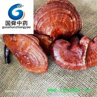 灵芝&【国舜堂】实物拍照产地货源中药材批发供应【灵芝】图4