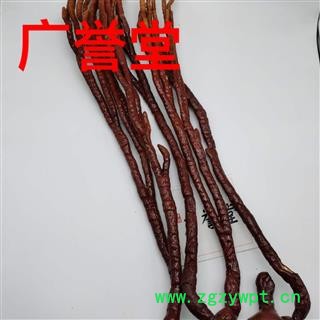 灵芝草 大统个 产地 东北图4