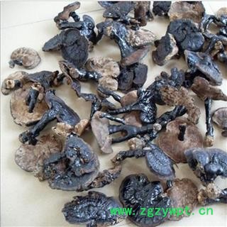 灵芝 野生紫芝 紫灵芝瑞芝堂产地直销1000克图3