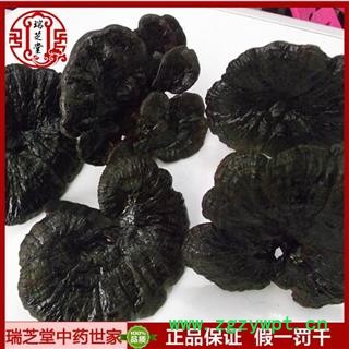 灵芝 野生紫芝 紫灵芝瑞芝堂产地直销1000克图4