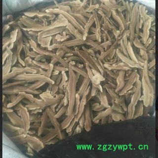 灵芝中药材 赤灵芝 泰山灵芝 灵芝片  野生灵芝 家种灵芝 产地山东安国市场批发零售大全图2