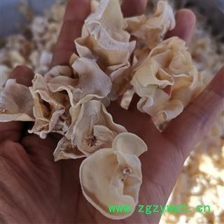 瑞森药材行木耳白木耳 玉木耳 白玉木耳非银耳图2