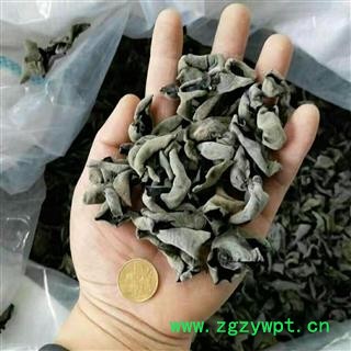 诺源药材行优质调料 黑木耳 木耳图2