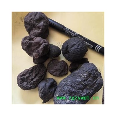 安祁名药乌灵参 鸡枞蛋 雷震子 鸡茯苓