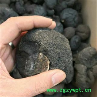 安祁名药乌灵参 鸡枞蛋 雷震子 鸡茯苓图3