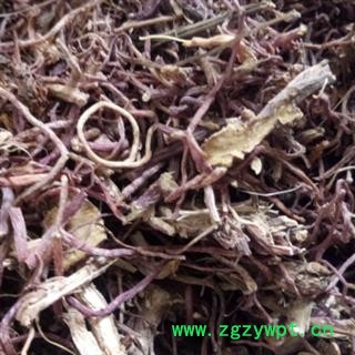 紫菀 紫菀带芦头统货 产地 河北省图2