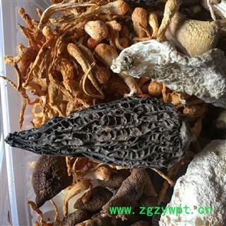 安祁名药优质羊肚菌  高营养美味菌汤包图2