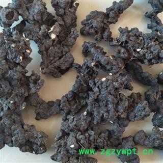 安祁名药优质猪苓  东北野生图2