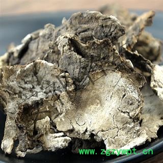 安祁名药茯苓皮 云苓皮 茯灵皮 统 产地 安徽省图2