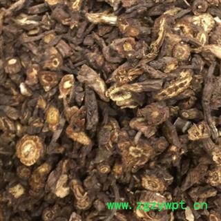 中药材羌活 本品为野生羌活  自然晾晒 手工甄选 干净无杂质 道地药材 无硫品质有保证 安国中药材批发零售大全图2