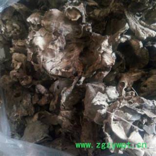 安祁名药灵芝 灰树花 贝叶多孔菌图2