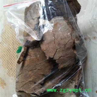 安祁名药正品斑褐灵芝 斑褐孔菌图2