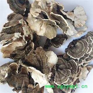 安祁名药云芝 东北云灵芝 云蘑菇图2