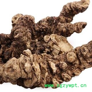 药材缬草光货 冷背缬草中药材蜘蛛香 马蹄香、土细辛、心叶缬草、养心莲 产地云南安国市场批发零售大全图2