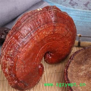 秦岭灵芝 紫灵芝赤灵芝树舌日晒无硫500g图2