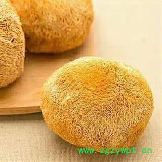 秦岭天然无硫猴头菇 猴菇 猴姑 猴菇菌 手摘日晒无硫250g图2